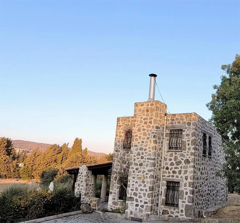 Authentic Bodrum Villa With Special Private Pool Ortakent