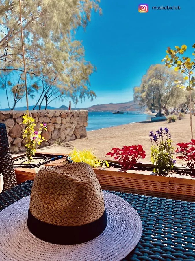 Authentic Bodrum Villa With Special Private Pool Ortakent