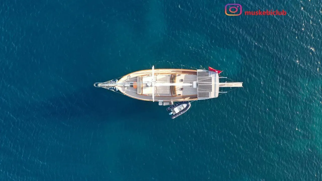 Authentic Bodrum Villa With Special Private Pool Ortakent Törökország