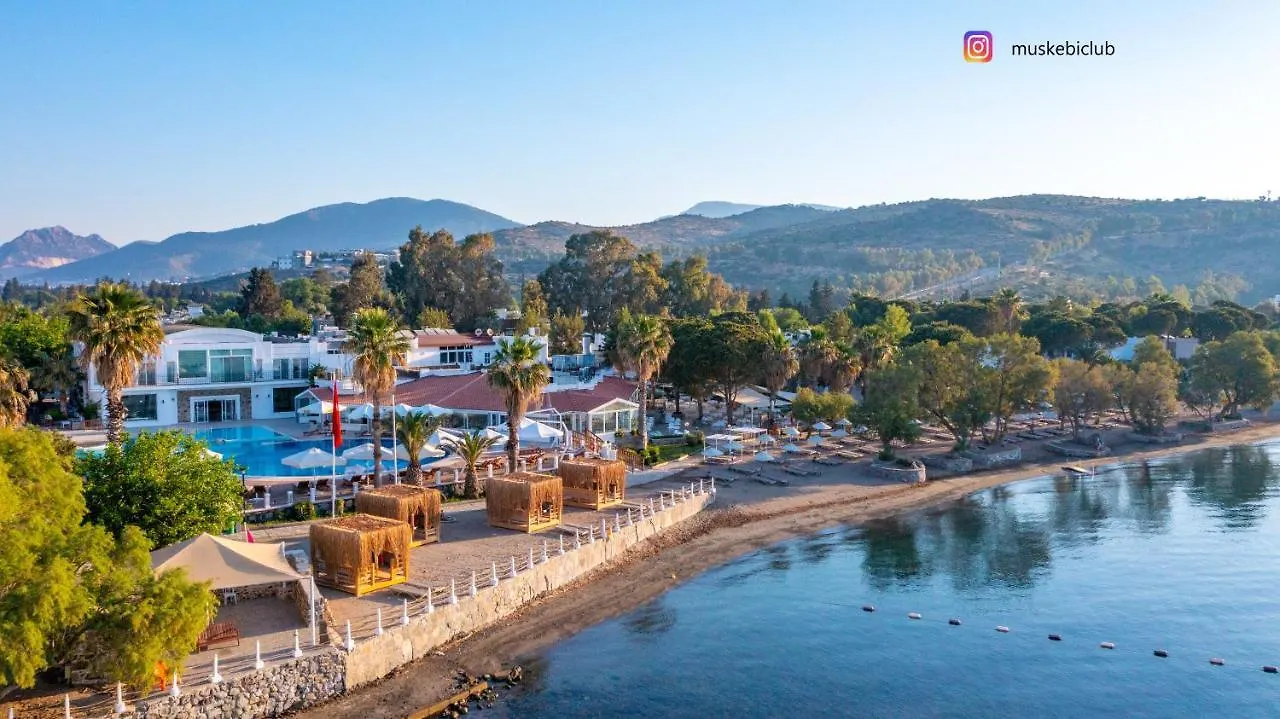 Authentic Bodrum Villa With Special Private Pool Ortakent