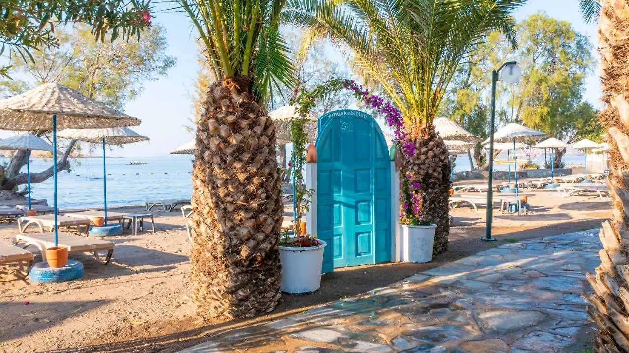 Authentic Bodrum Villa With Special Private Pool Ortakent