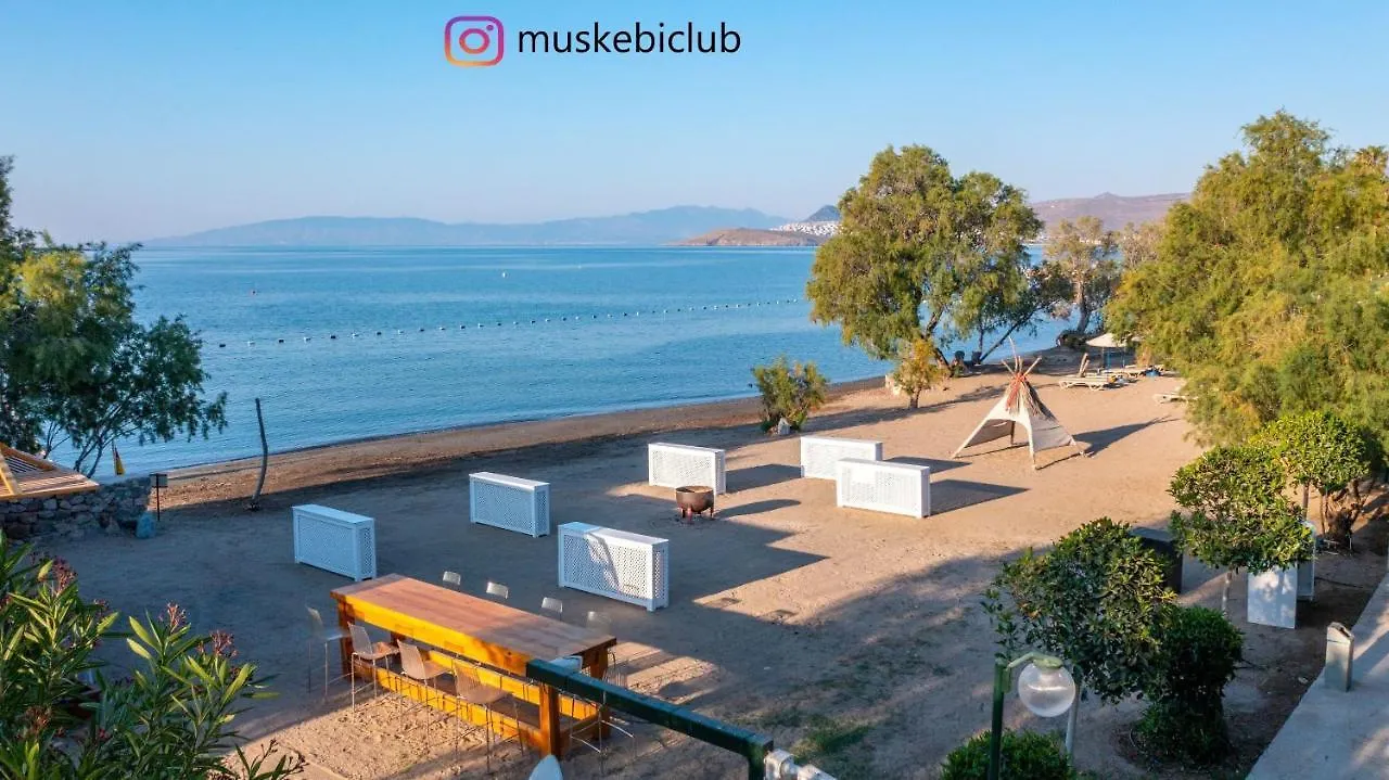 Authentic Bodrum Villa With Special Private Pool Ortakent