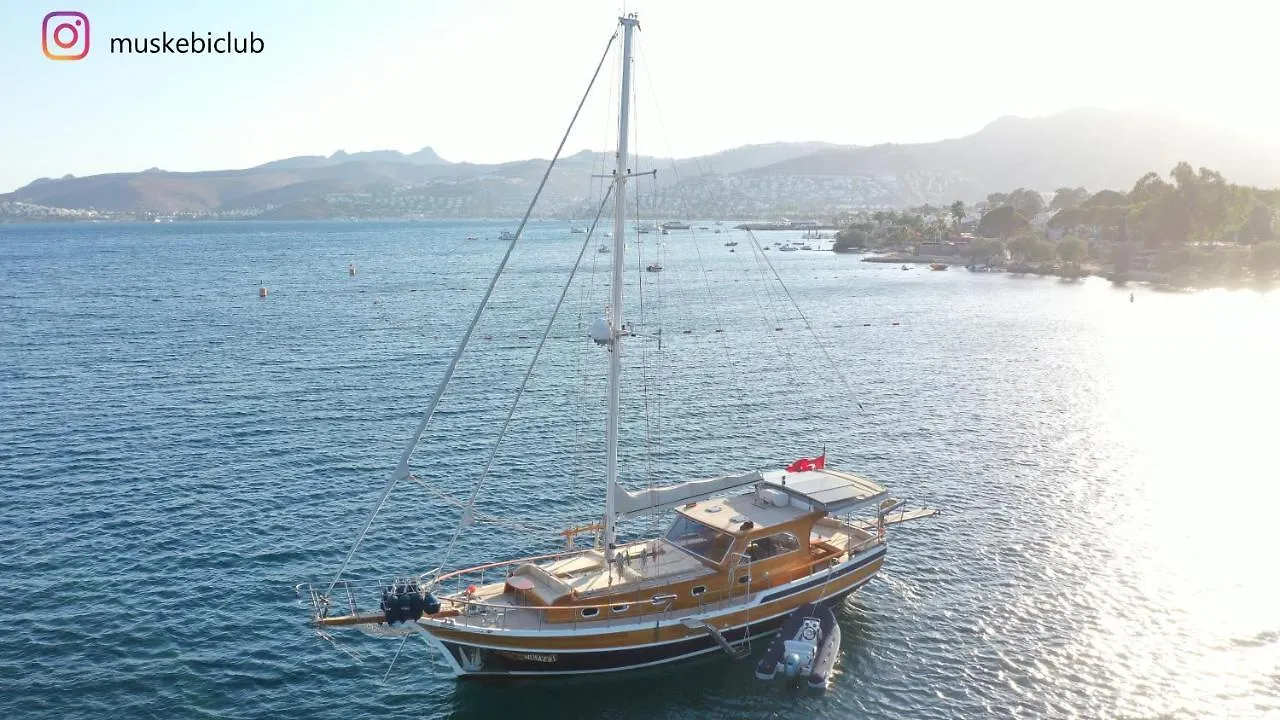 Authentic Bodrum Villa With Special Private Pool Ortakent 0*,  Törökország
