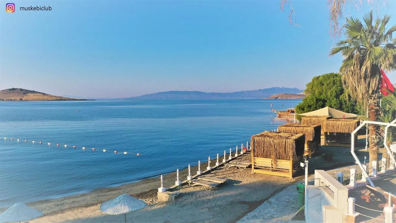 Authentic Bodrum Villa With Special Private Pool Ortakent Törökország