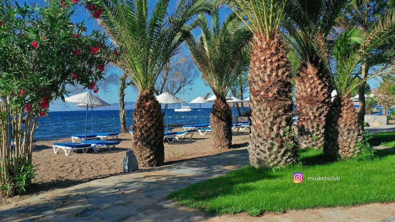 Authentic Bodrum Villa With Special Private Pool Ortakent