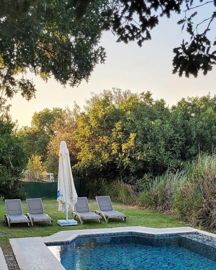 Authentic Bodrum Villa With Special Private Pool Ortakent