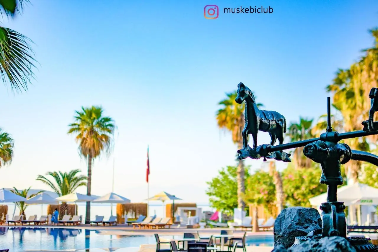 Authentic Bodrum Villa With Special Private Pool Ortakent