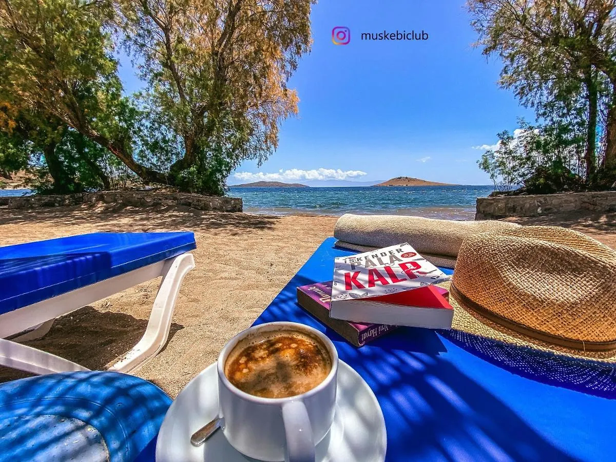 Authentic Bodrum Villa With Special Private Pool Ortakent 0*,